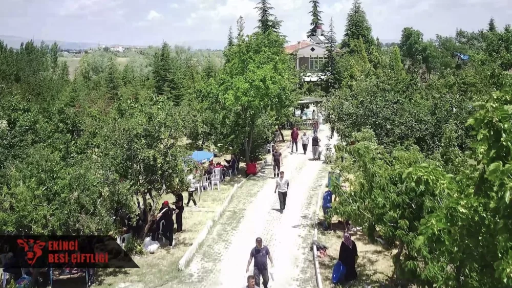 Yenimahalle Kurbanlık Satış Yerleri